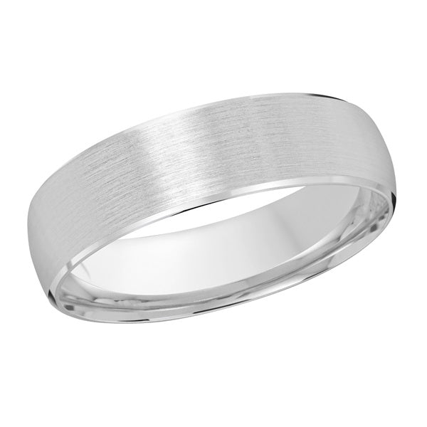 Silver wedding band on a white background.