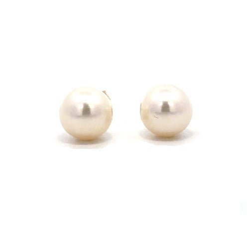 Fresh Water Pearl Stud Earrings - 14k Yellow Gold