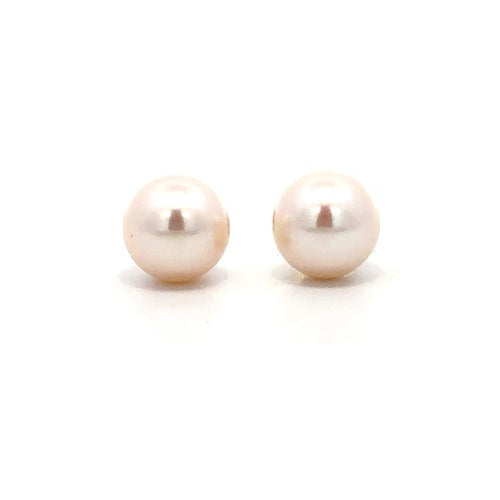 Fresh Water Pearl Stud Earrings - 14k Yellow Gold