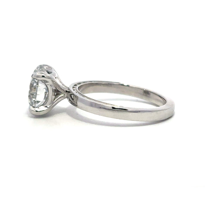 Statement Collection (Round) - 14k White Gold 3.22ct #13239