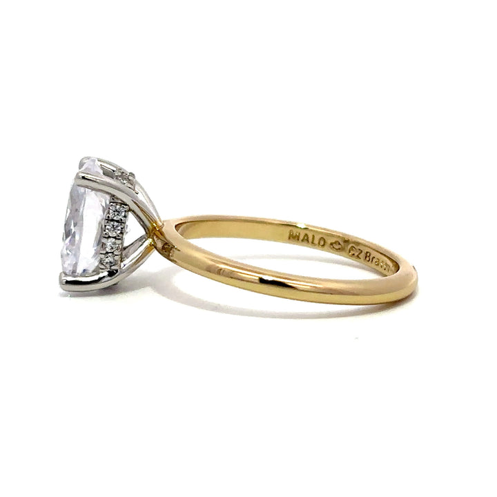 Hidden Halo Ring - Four Prong Setting #13261 - Vena Nova | Calgary