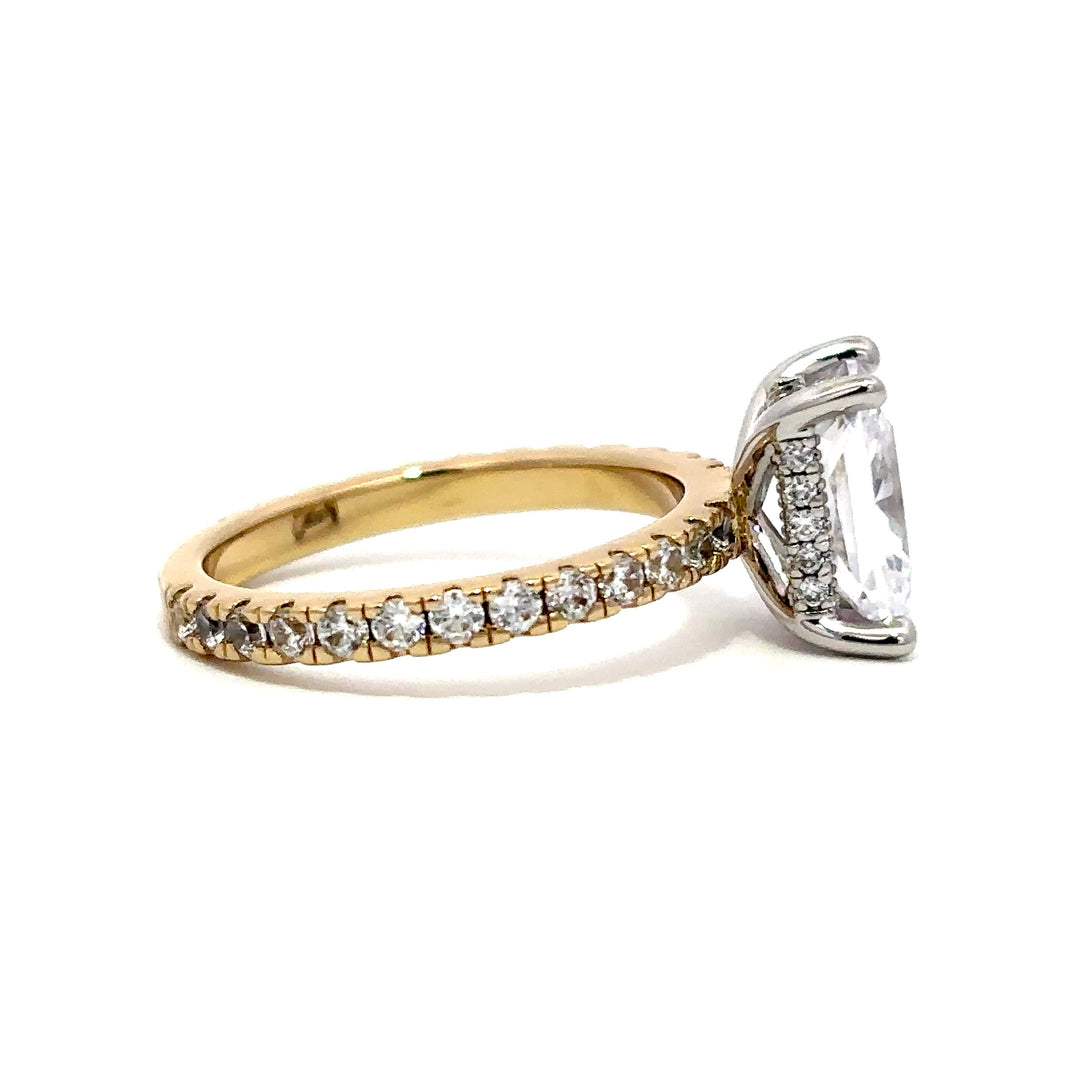 French Pavé Ring - Hidden Halo Setting #13263 - Vena Nova | Calgary