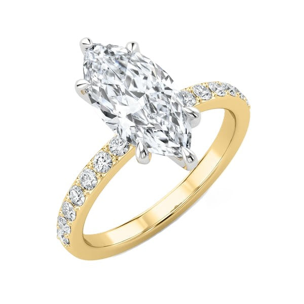 6-Prong Ring - Pave Side Diamonds #13278
