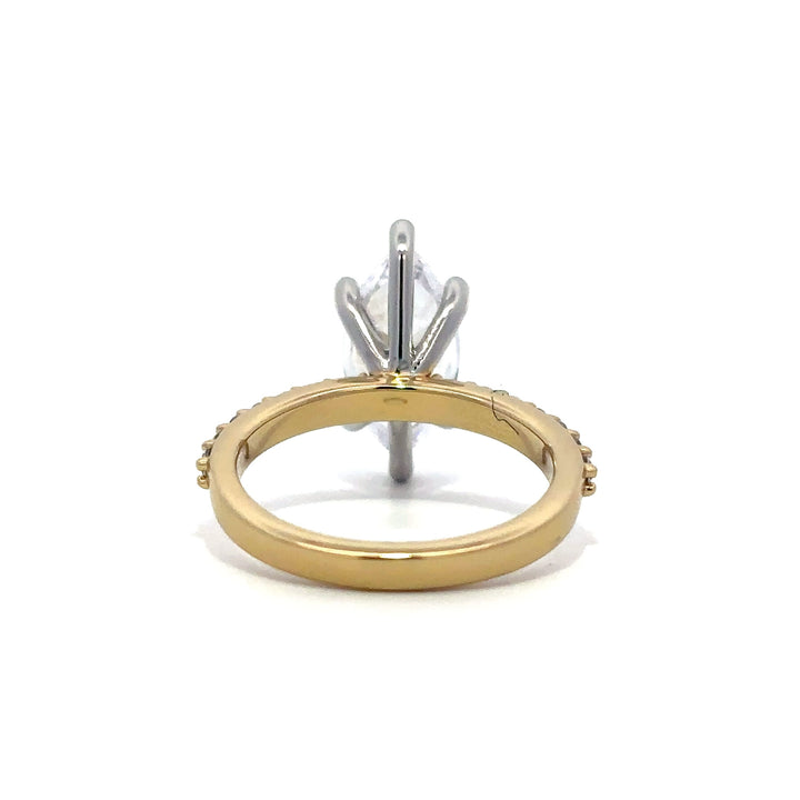6-Prong Ring - Pave Side Diamonds #13278 - Vena Nova | Calgary