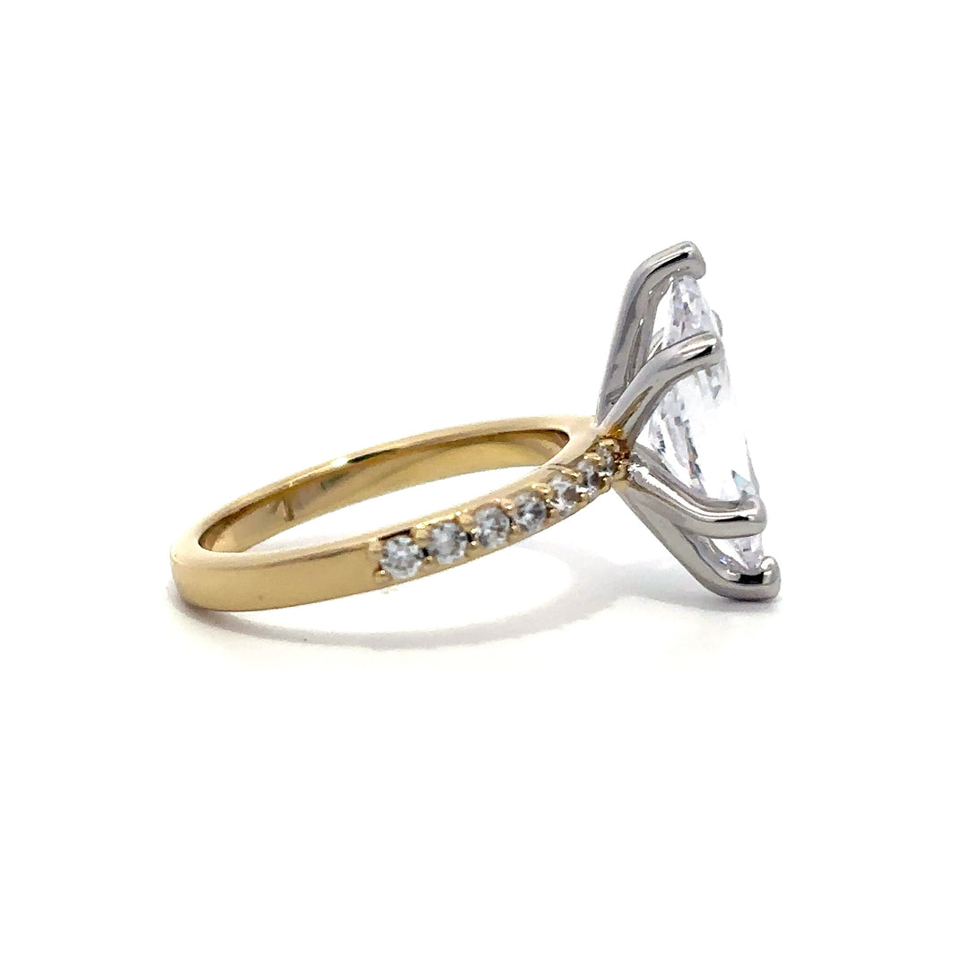 6-Prong Ring - Pave Side Diamonds #13278 - Vena Nova | Calgary