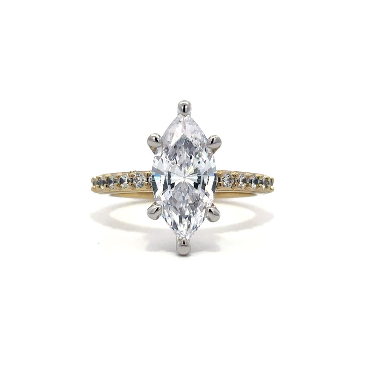 6-Prong Ring - Pave Side Diamonds #13278 - Vena Nova | Calgary