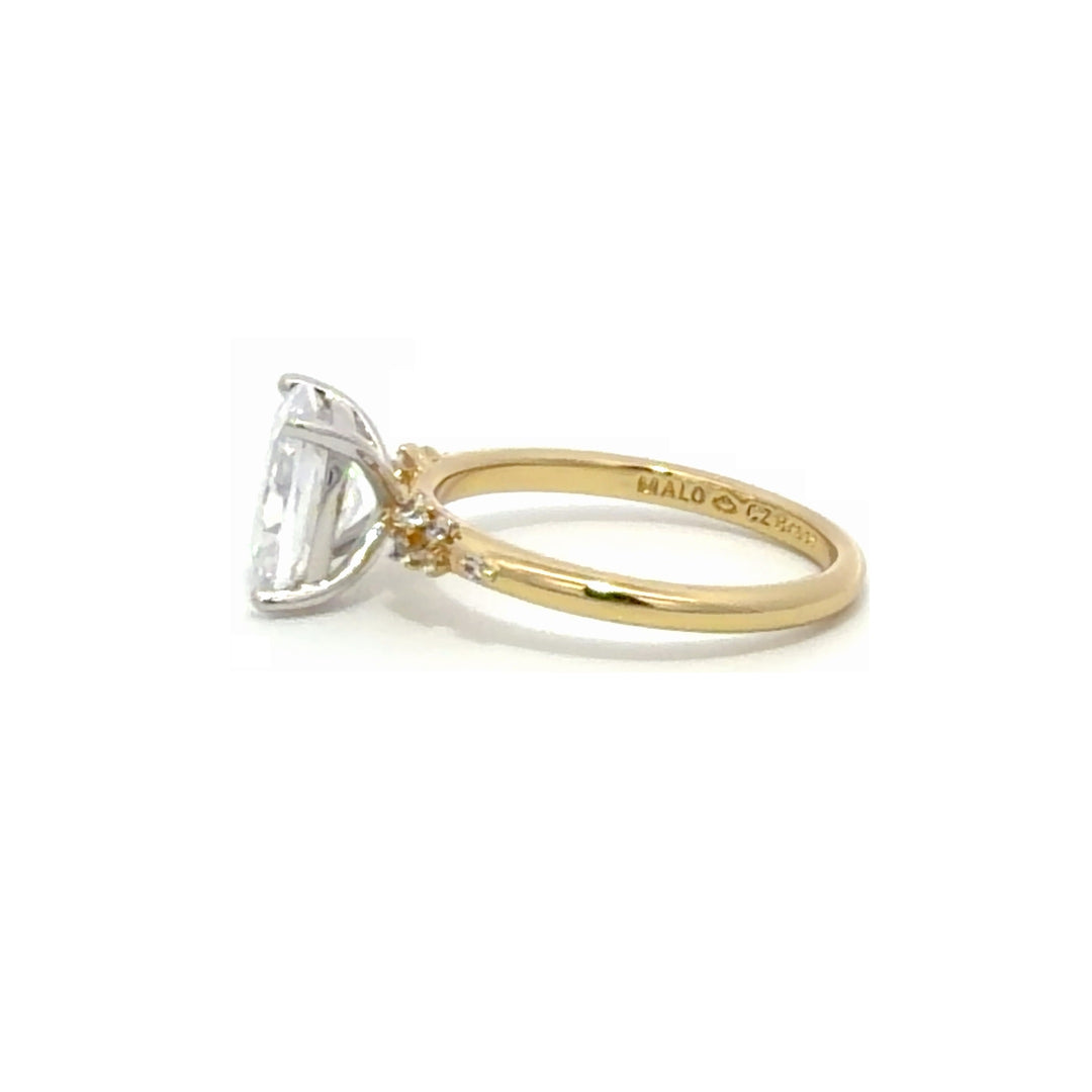Pavé Ring - Floral Band Setting #13283 - Vena Nova | Calgary