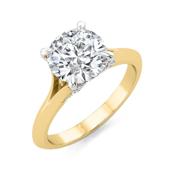 Hidden Halo Ring - Split Shank Setting #13288
