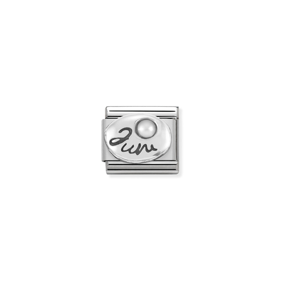 Composable Charm Link - Birthstones in Stainless Steel with Sterling Silver
