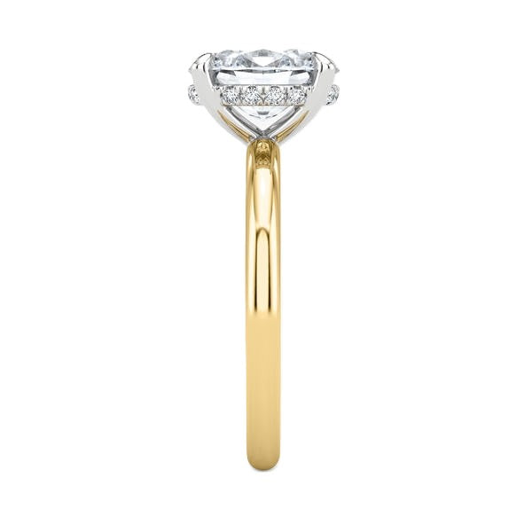 Solitaire Ring - Hidden Halo Setting #13261