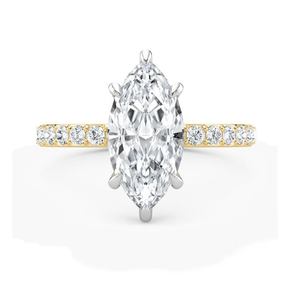 6-Prong Ring - Pave Side Diamonds #13278