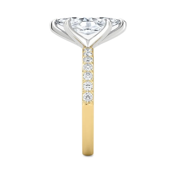 6-Prong Ring - Pave Side Diamonds #13278