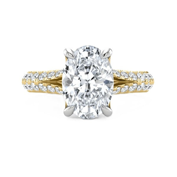 Split Shank Ring - Hidden Halo Setting #13285