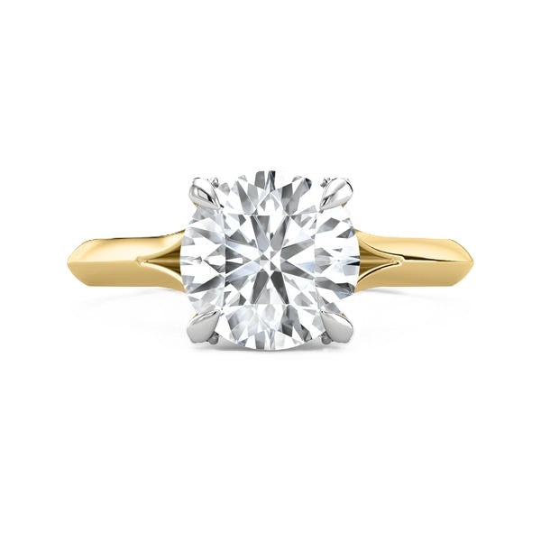 Hidden Halo Ring - Split Shank Setting #13288
