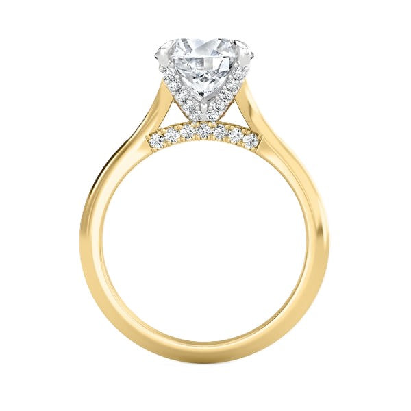 Hidden Halo Ring - Split Shank Setting #13288