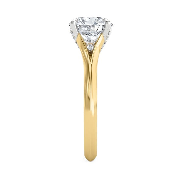 Hidden Halo Ring - Split Shank Setting #13288