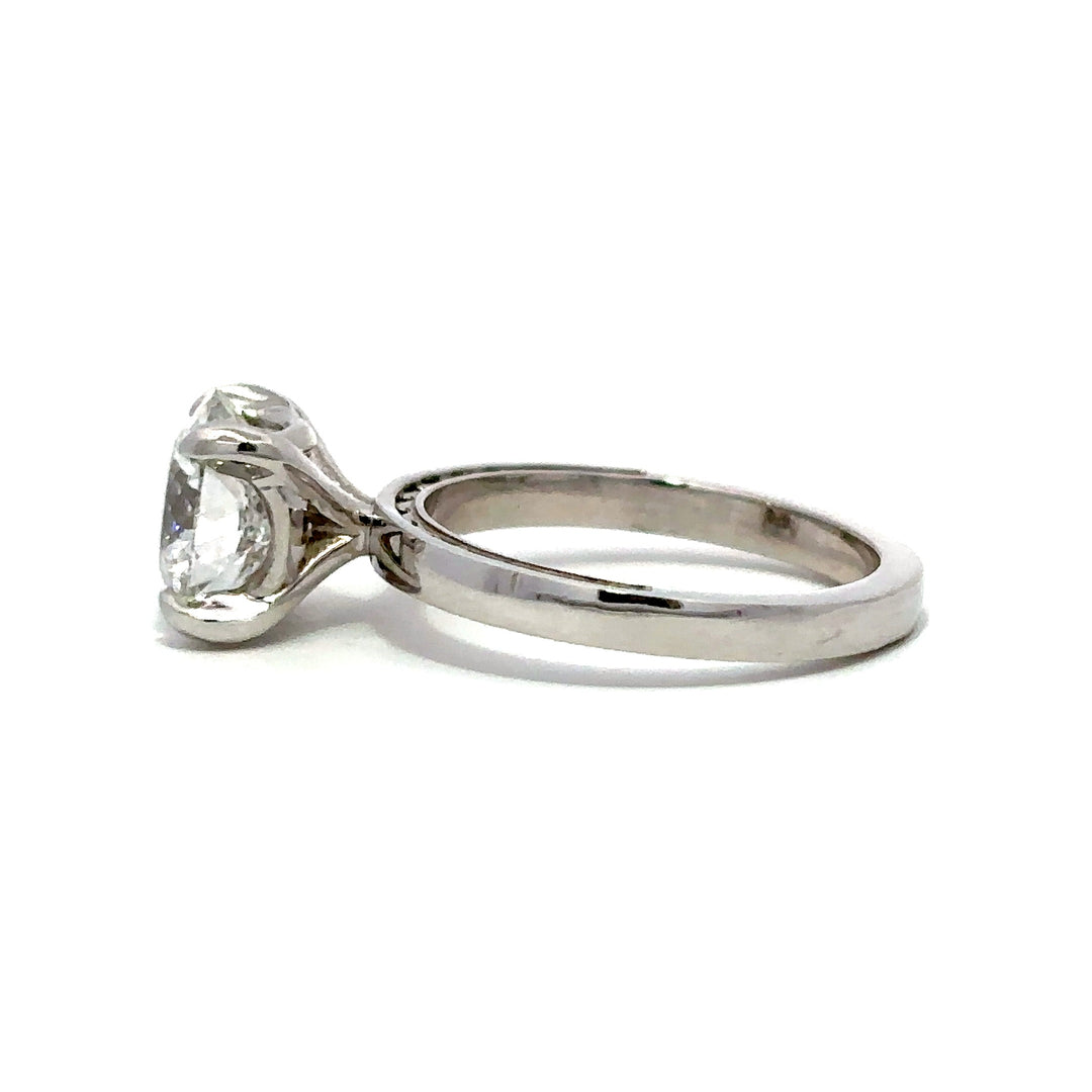 Statement Collection (Round) - 14k White Gold 2.75ct #12248