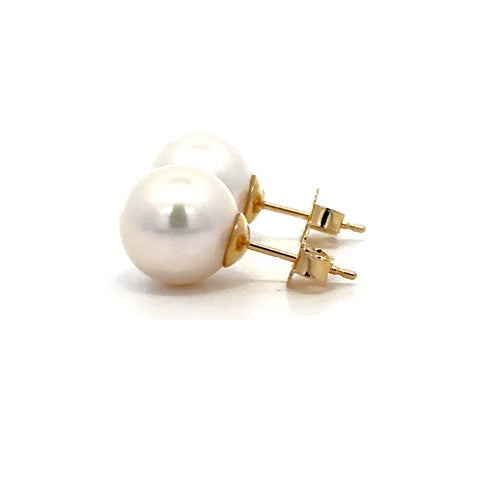 Fresh Water Pearl Stud Earrings - 14k Yellow Gold