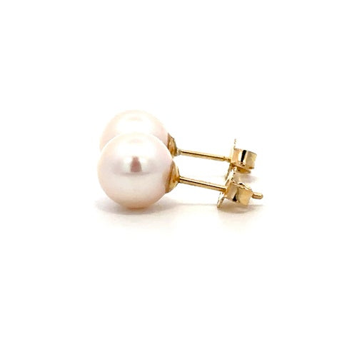 Fresh Water Pearl Stud Earrings - 14k Yellow Gold