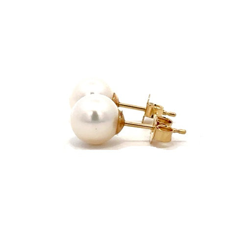 Fresh Water Pearl Stud Earrings - 14k Yellow Gold
