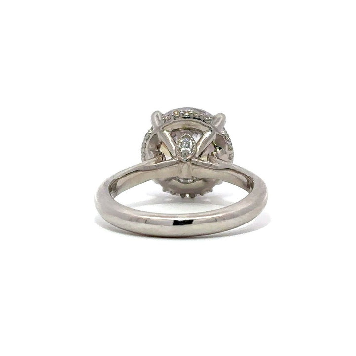 Pave Ring - Hidden Halo Setting #11627