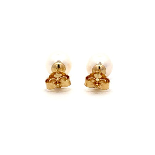 Fresh Water Pearl Stud Earrings - 14k Yellow Gold