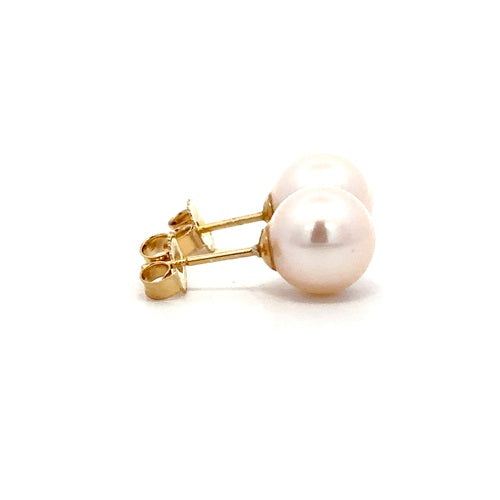Fresh Water Pearl Stud Earrings - 14k Yellow Gold