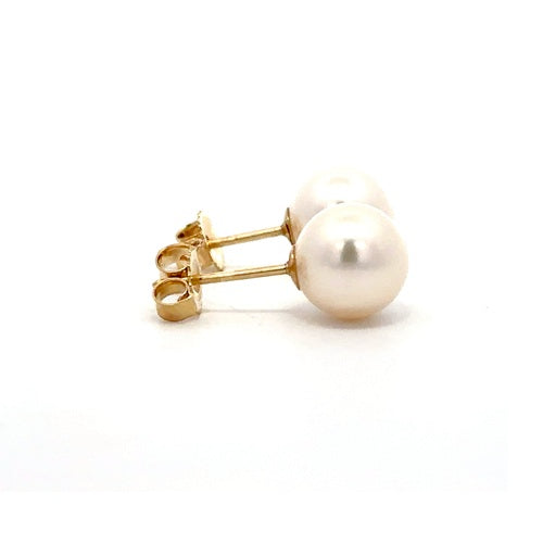 Fresh Water Pearl Stud Earrings - 14k Yellow Gold
