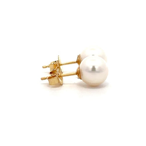 Fresh Water Pearl Stud Earrings - 14k Yellow Gold