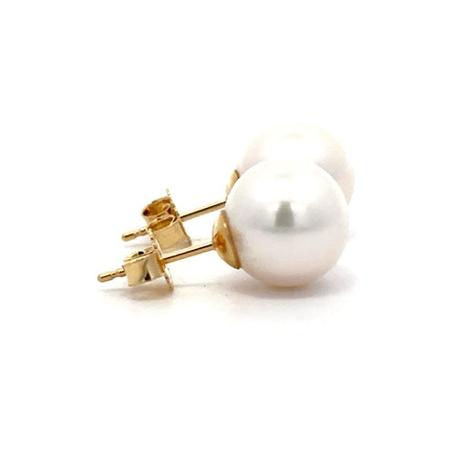 Fresh Water Pearl Stud Earrings - 14k Yellow Gold