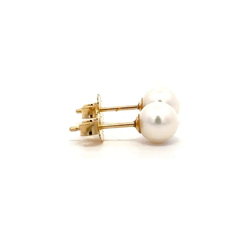 Fresh Water Pearl Stud Earrings - 14k Yellow Gold