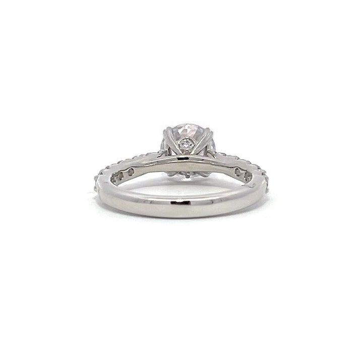 Prong Ring - Pave Side Diamonds #11616