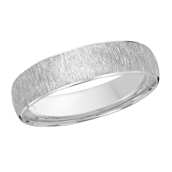 Silver wedding band on a white background.